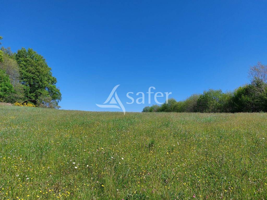 Proprietà rurale In vendita Corrèze