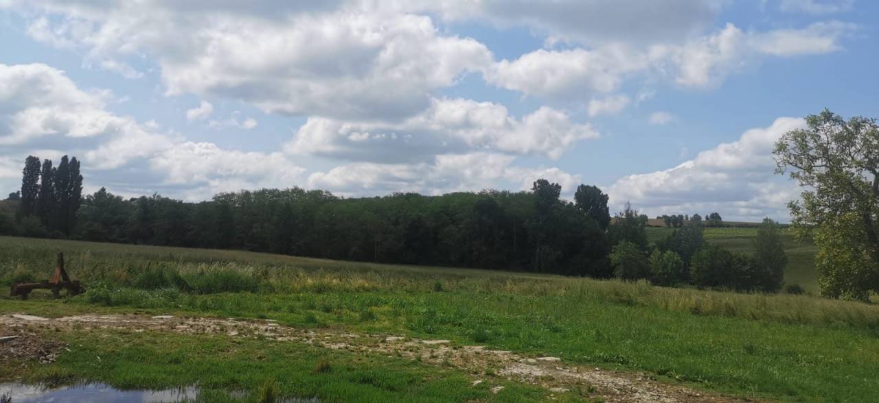 Proprietà equestre In vendita Gironde