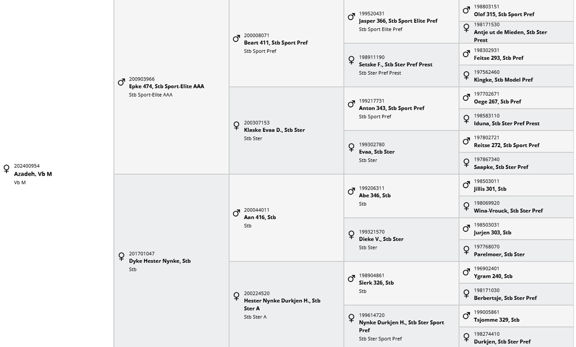 Puledra Frisone In vendita 2024 Nero ,  Epke 474, Sport Elite AAA