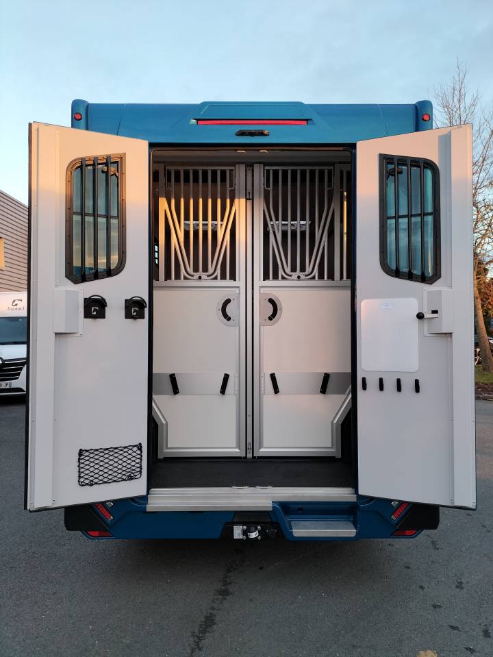 Van per Cavalli Theault Proteo  2023 Nuovo