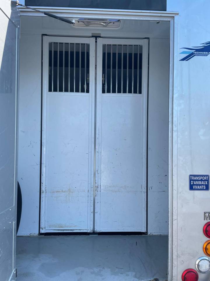 Van per Cavalli MTM  2018 Occasione