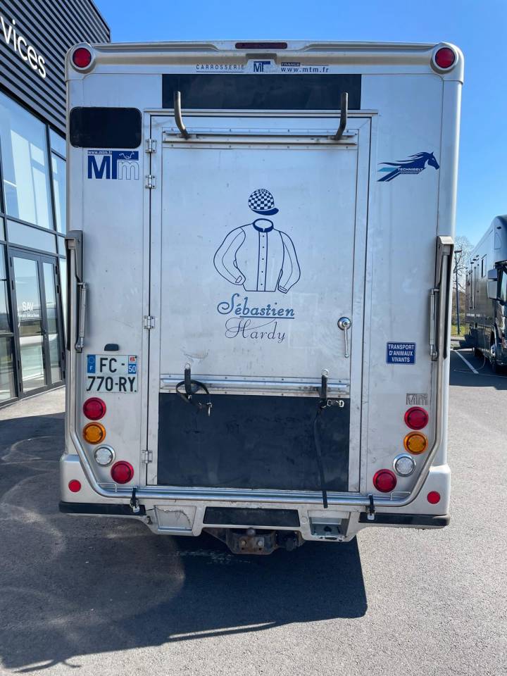 Van per Cavalli MTM  2018 Occasione