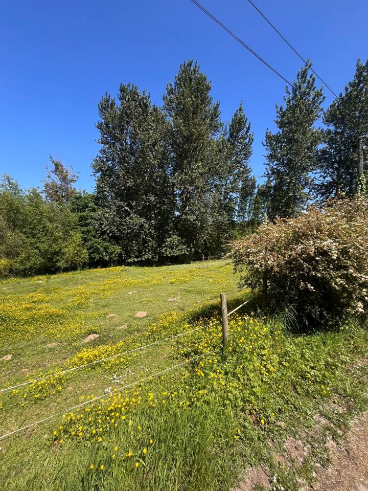 Proprietà equestre In vendita Ile-et-Vilaine