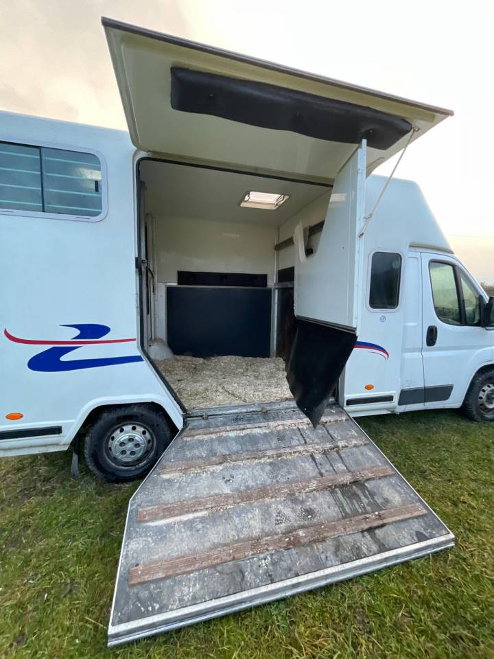 Van per Cavalli Barbot  2011 Occasione