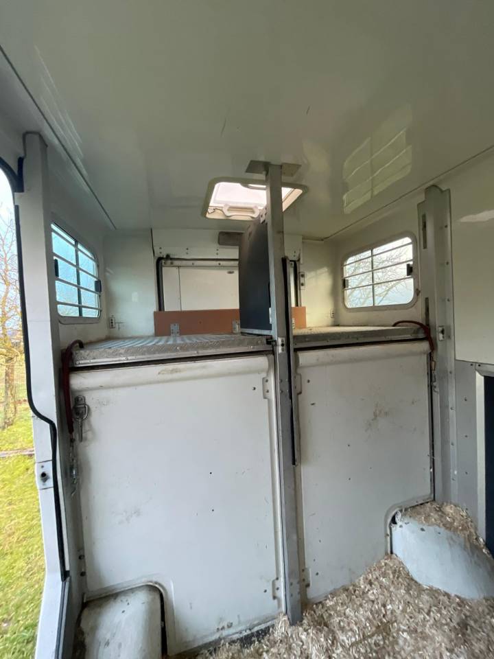 Van per Cavalli Barbot  2011 Occasione