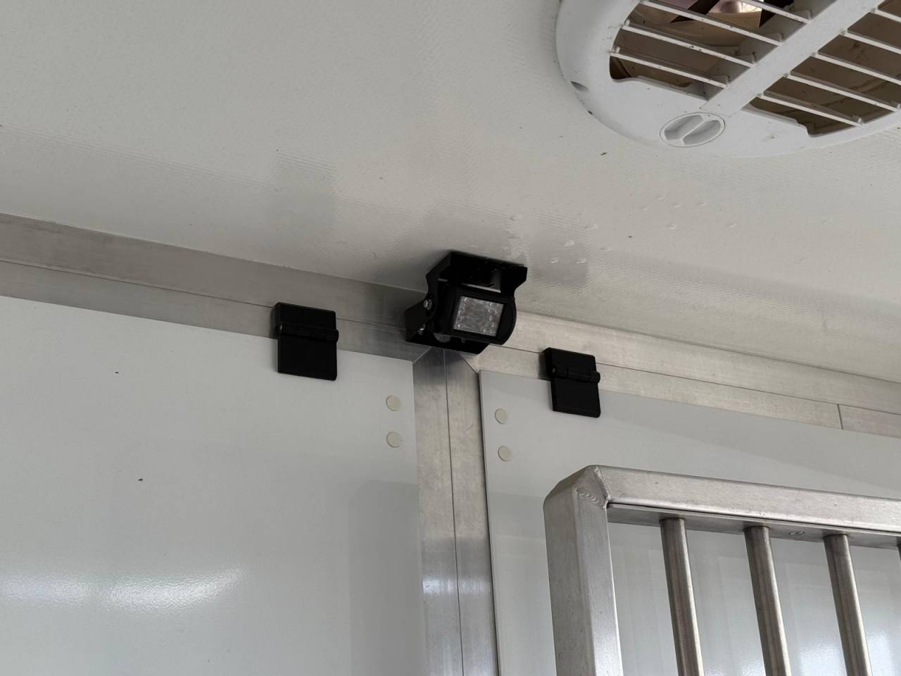 Van per Cavalli Krismar MASTER THEAULT 3 PLACES 2021 Occasione