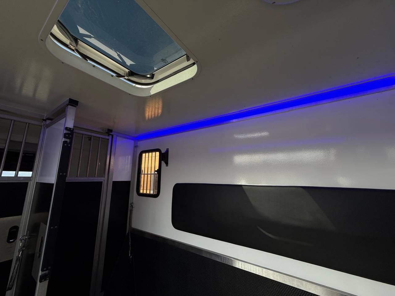 Van per Cavalli Krismar MASTER THEAULT 3 PLACES 2021 Occasione