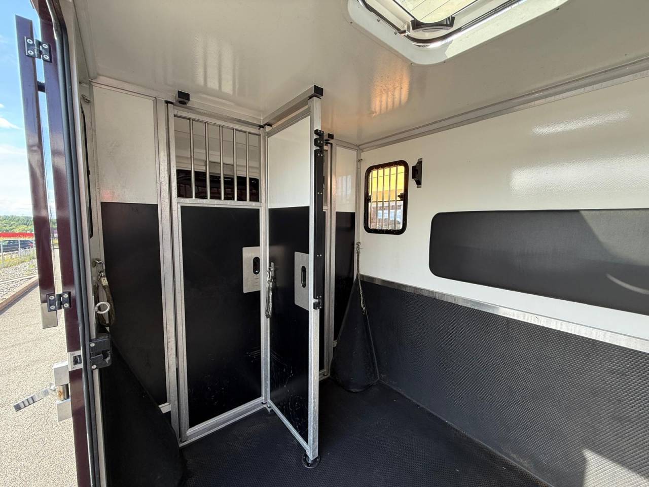 Van per Cavalli Krismar MASTER THEAULT 3 PLACES 2021 Occasione