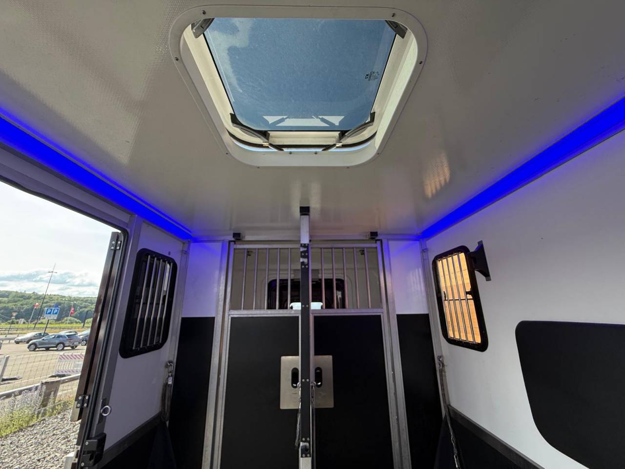 Van per Cavalli Krismar MASTER THEAULT 3 PLACES 2021 Occasione