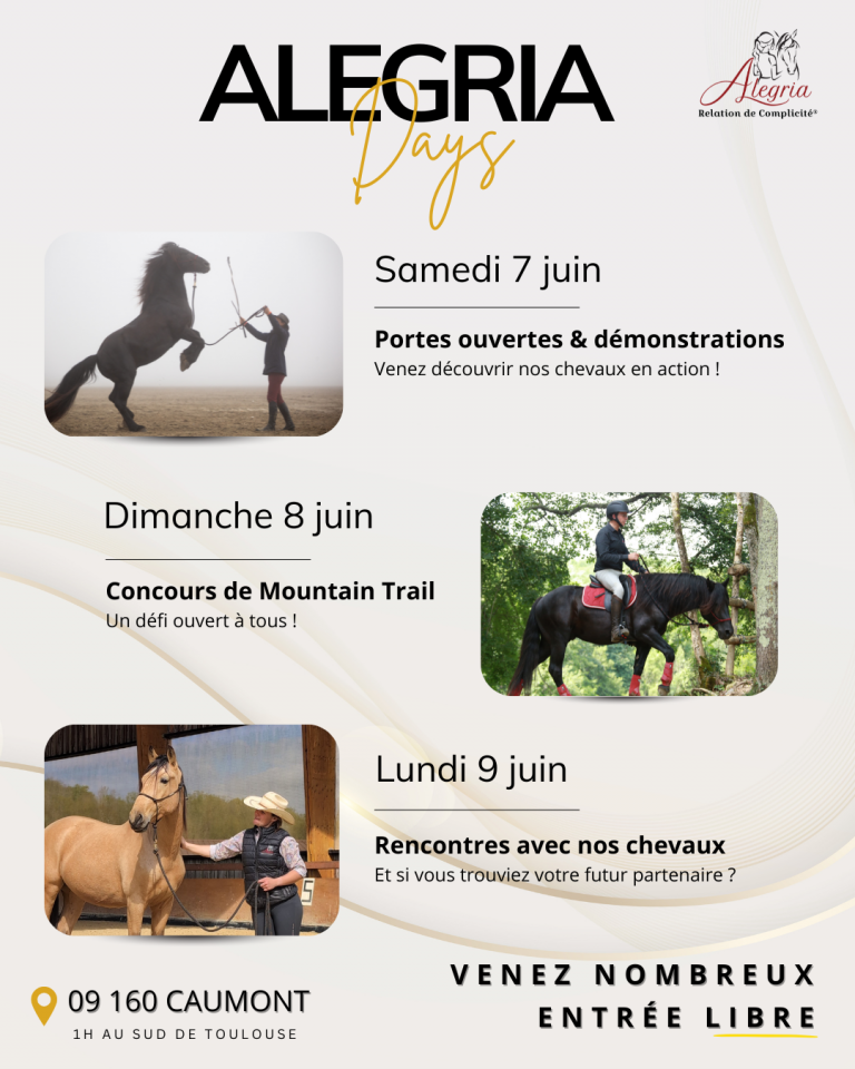 Cavalla Mérens In vendita 2024 Nero