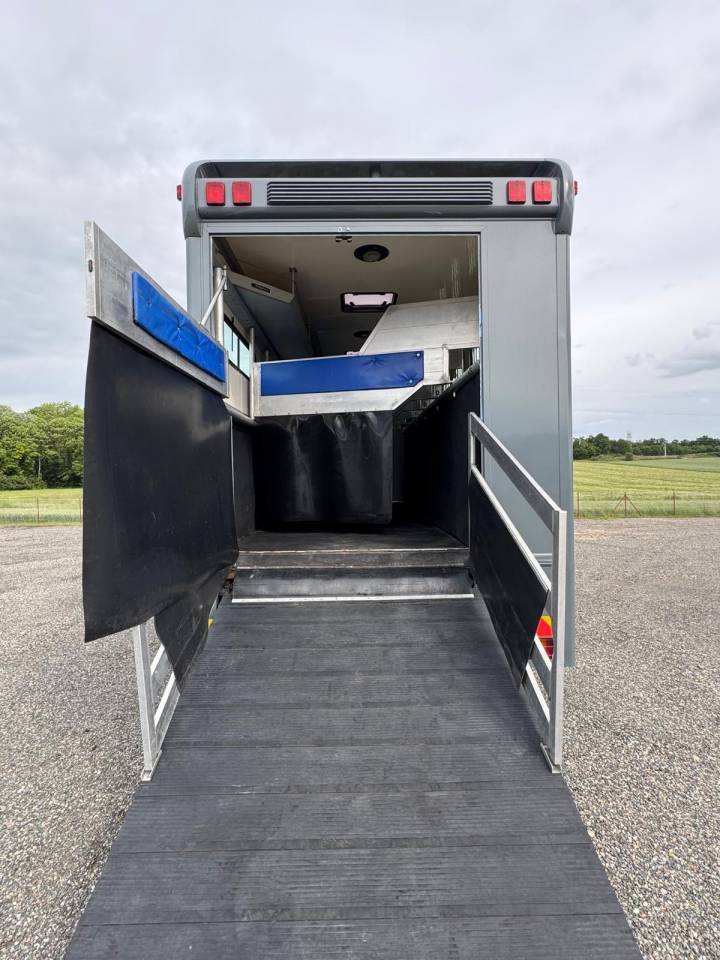 Camion per Cavalli Mercedes MERCEDES 2000 Occasione