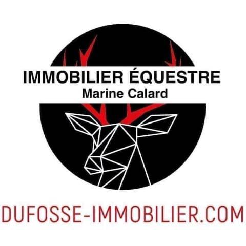 Centro di stagione cavallo In vendita Ain