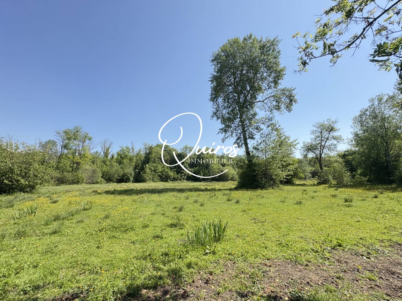 Proprietà equestre In vendita Seine-et-Marne