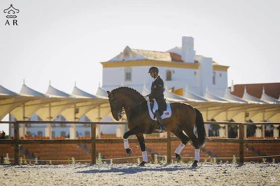 Puledro Altre Razze di Pony In vendita 2024 Perlino