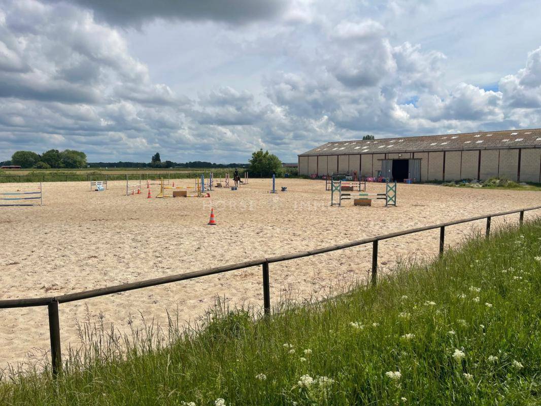 Centro di stagione cavallo In vendita Essonne