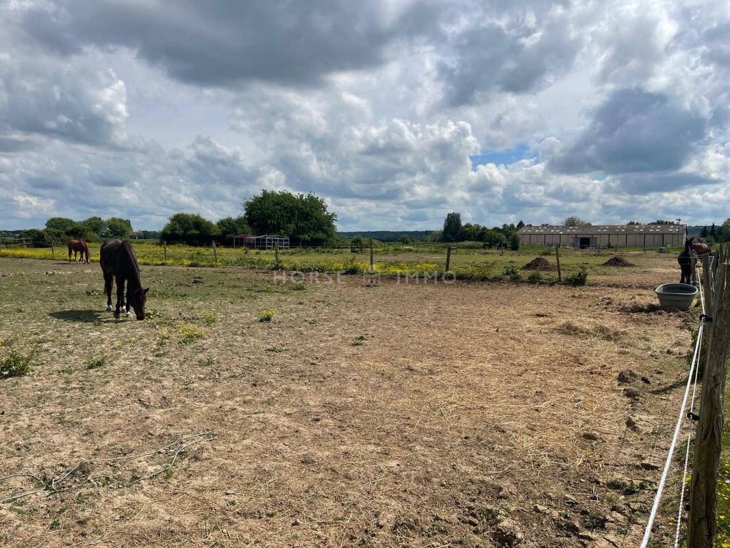 Centro di stagione cavallo In vendita Essonne