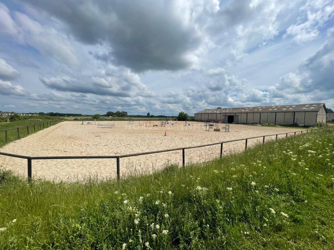 Centro di stagione cavallo In vendita Essonne