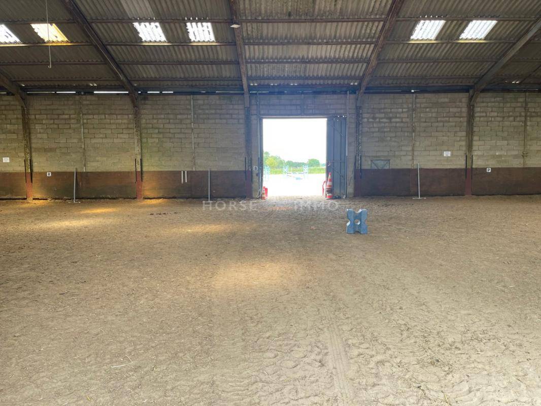 Centro di stagione cavallo In vendita Essonne