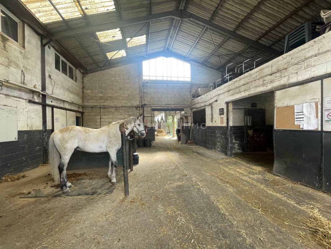 Centro di stagione cavallo In vendita Essonne