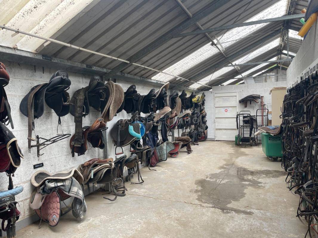 Centro di stagione cavallo In vendita Essonne