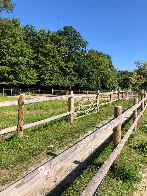Centro di stagione cavallo In vendita Seine-et-Marne