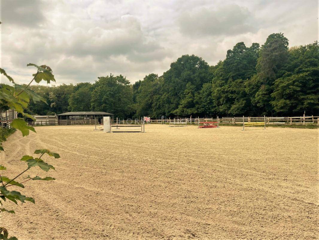 Centro di stagione cavallo In vendita Seine-et-Marne