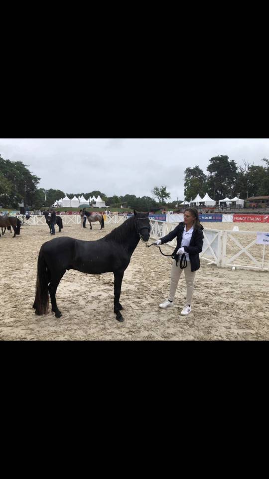 MUFFIN D'ASH - Dartmoor 2022