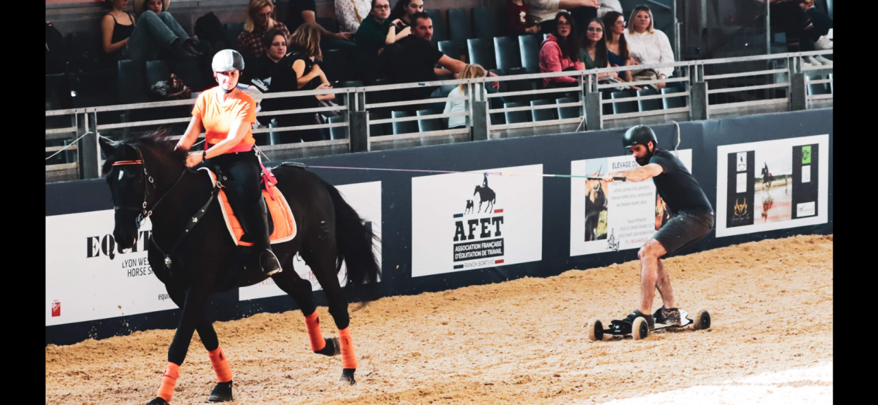 Castrone PRE Andaluso In vendita 2014 Nero ,  FRESCACHON II