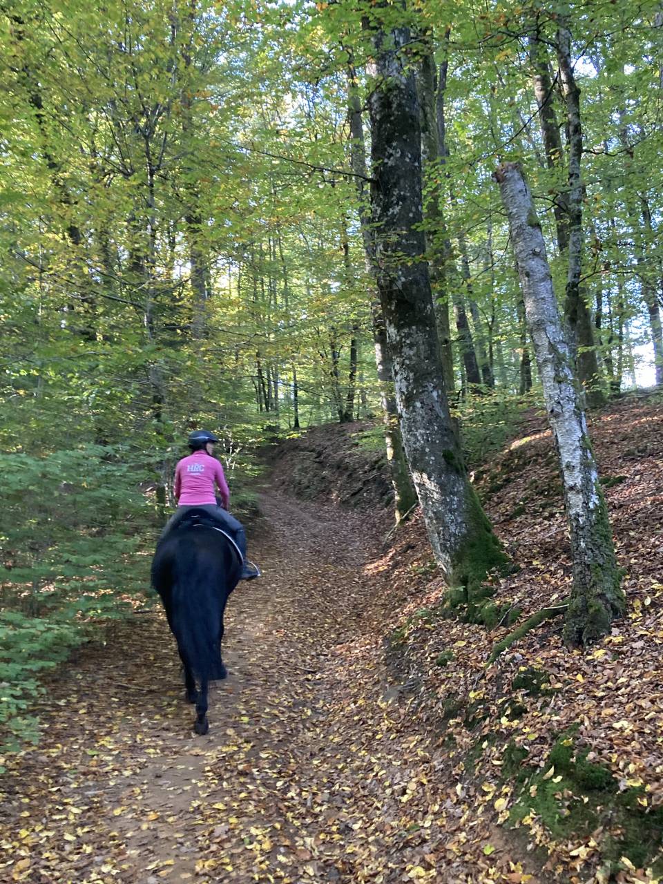 Castrone PRE Andaluso In vendita 2014 Nero ,  FRESCACHON II