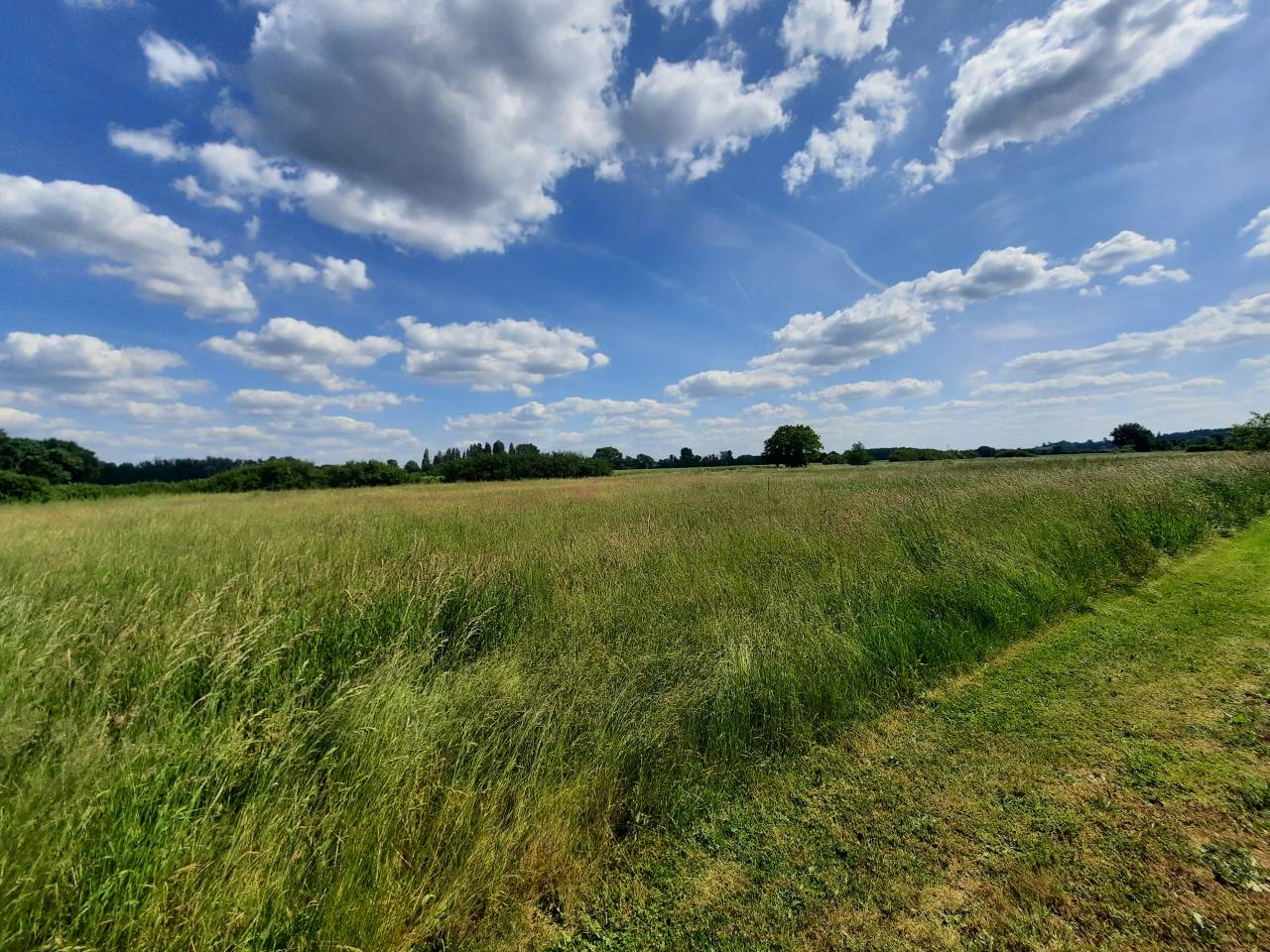 Proprietà equestre In vendita Cher