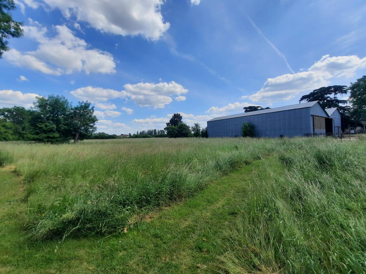 Proprietà equestre In vendita Cher