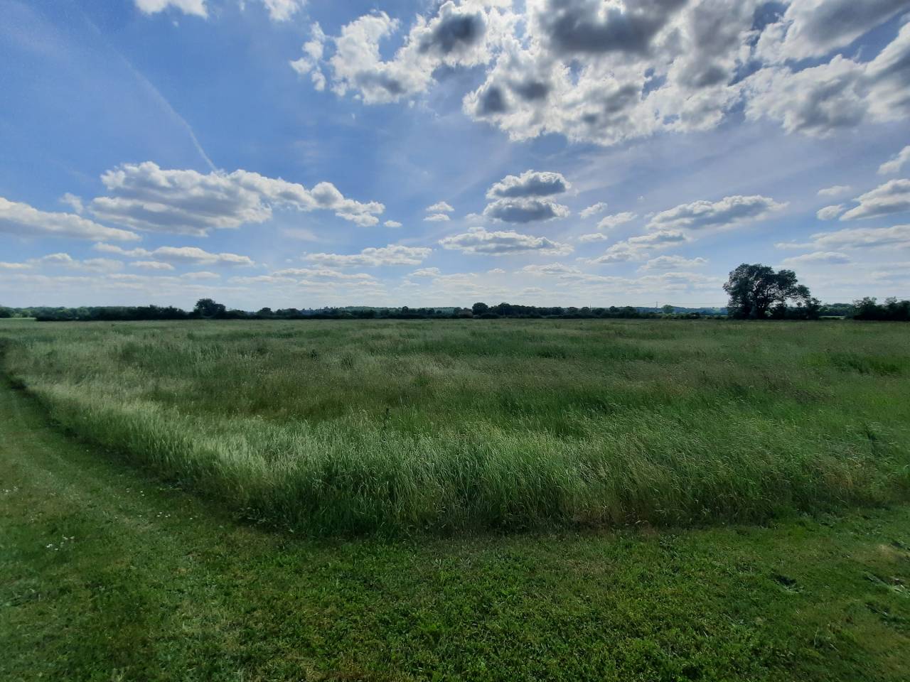 Proprietà equestre In vendita Cher