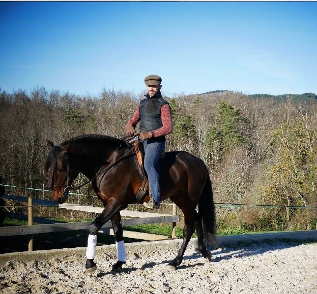 Castrone Lusitano In vendita 2015 Baio ,  SOLERA