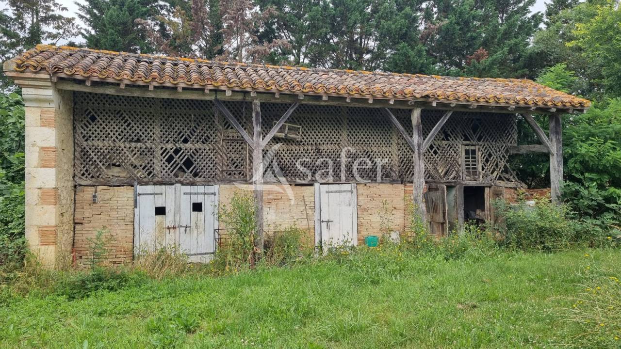 Azienda agricola In vendita Gers