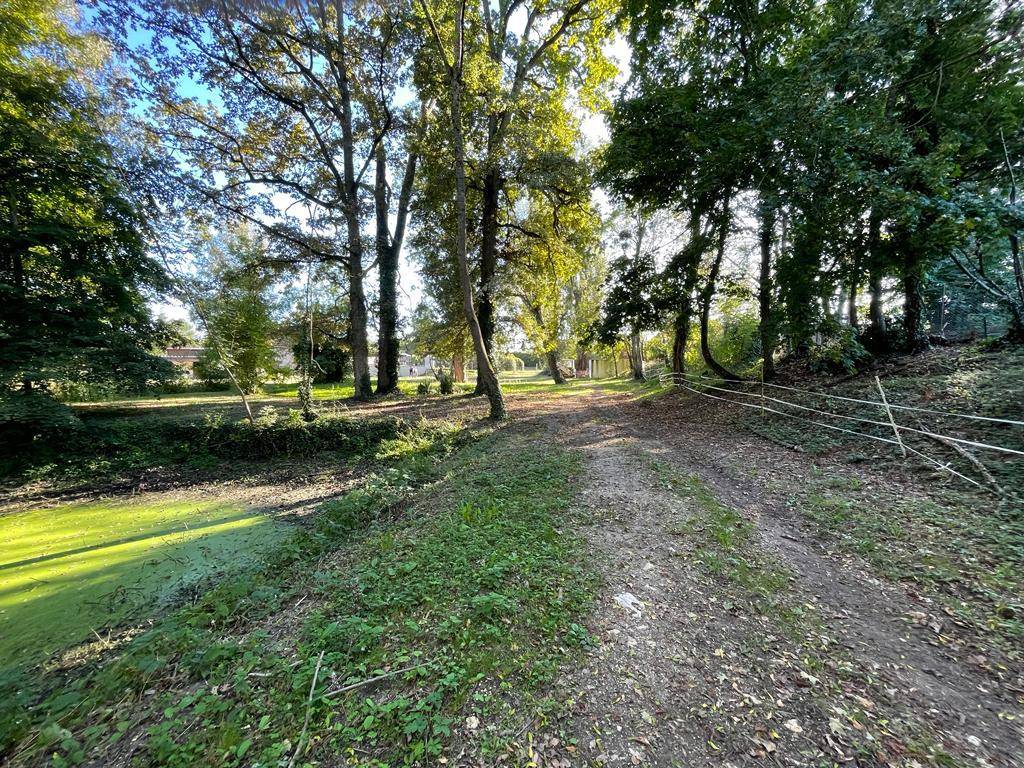 Proprietà equestre In vendita Cher