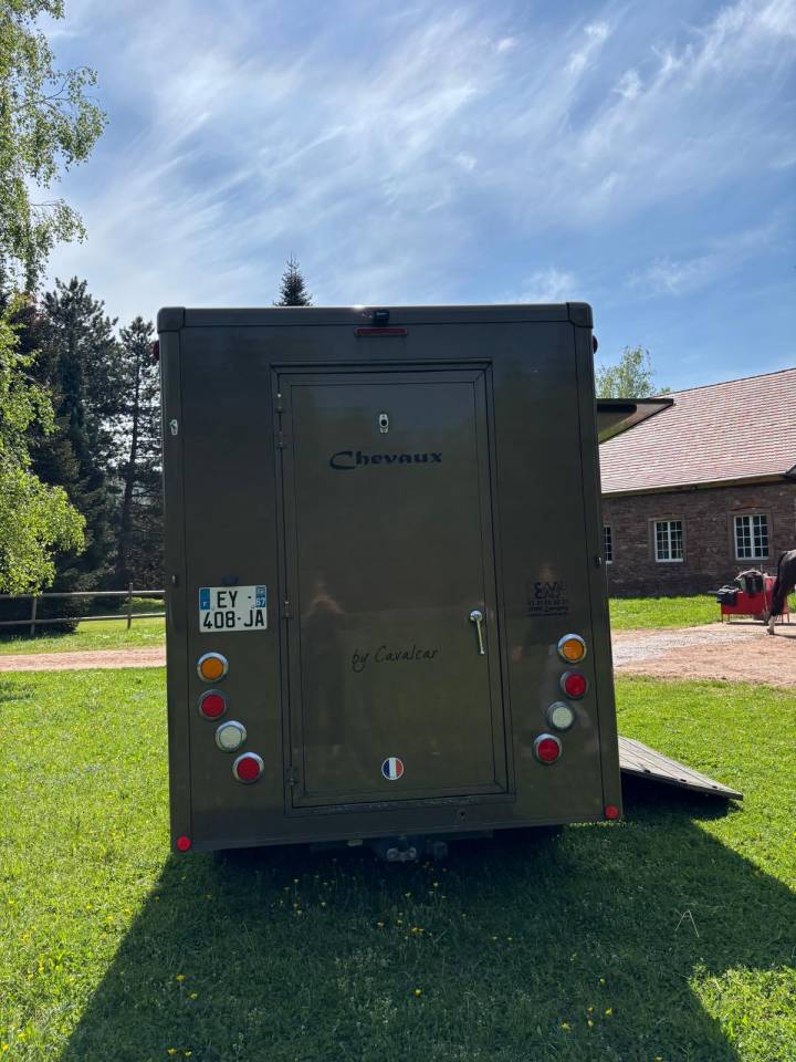 Van per Cavalli Cavalcar OPEL 2018 Occasione