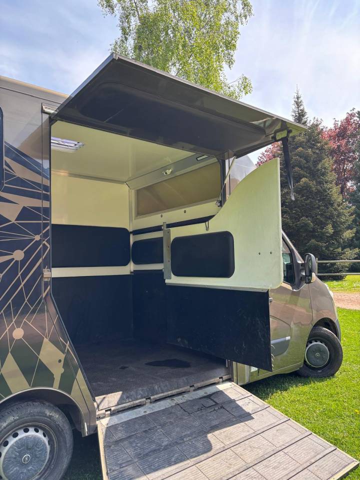 Van per Cavalli Cavalcar OPEL 2018 Occasione