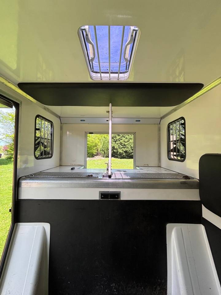 Van per Cavalli Cavalcar OPEL 2018 Occasione