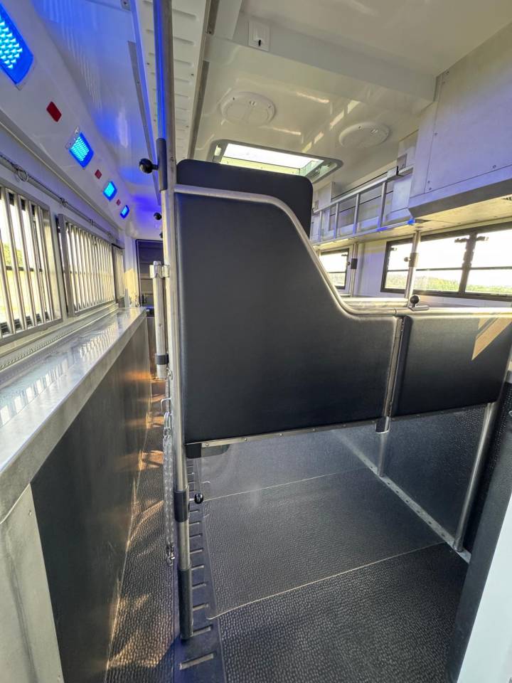 Camion per Cavalli STX SCANIA 2020 Occasione