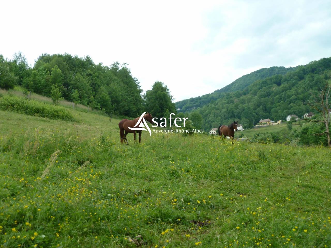 Propriet&agrave; equestre In vendita Savoie