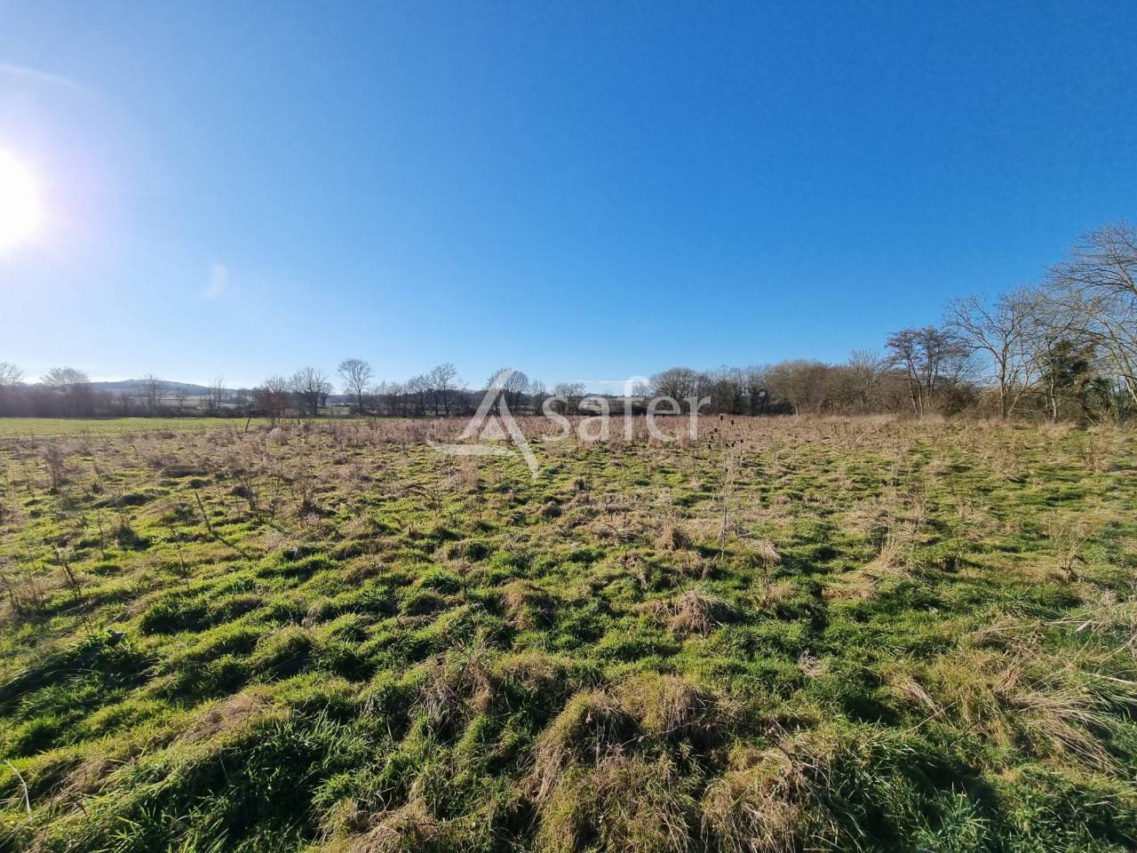 Proprietà rurale In vendita Hautes-Pyrénées
