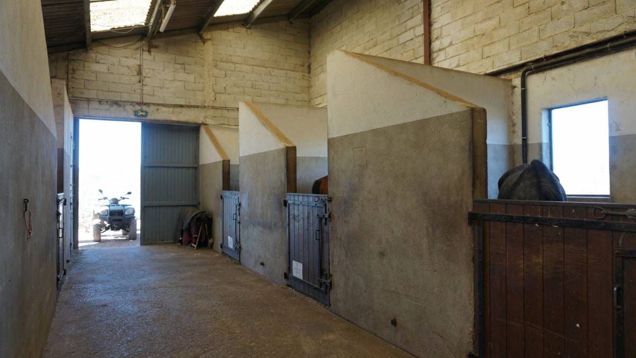 Alloggio equestre In vendita Nièvre