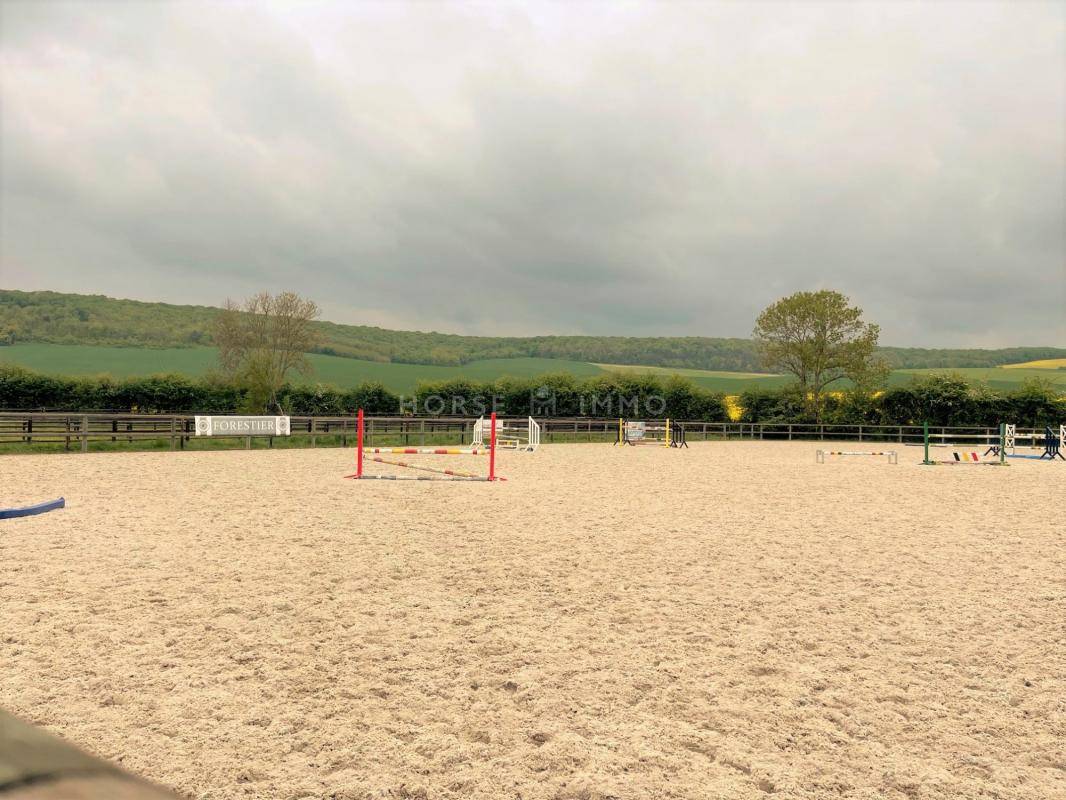 Centro di stagione cavallo In vendita Yonne