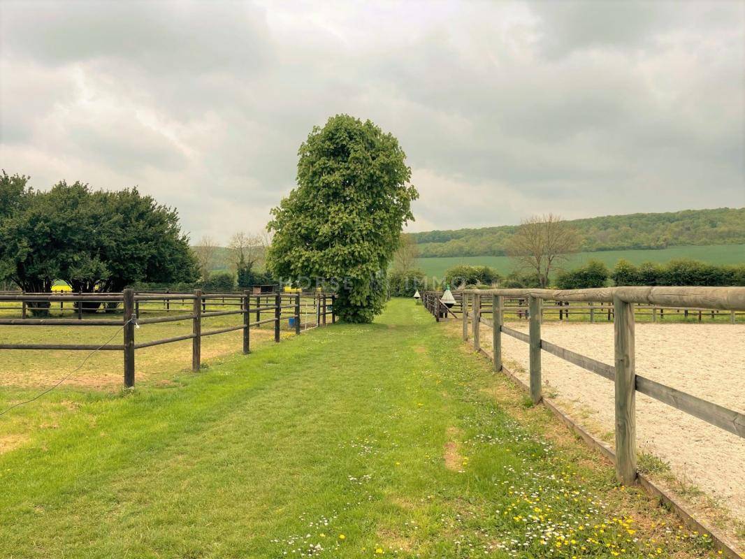 Centro di stagione cavallo In vendita Yonne