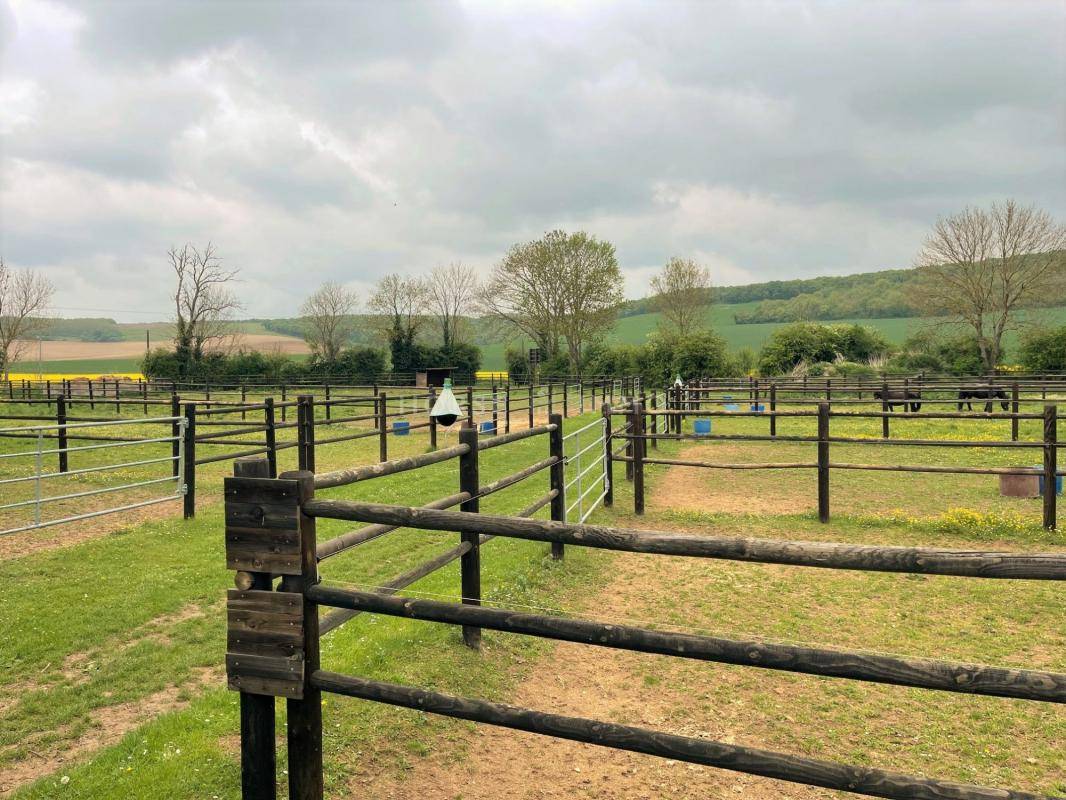 Centro di stagione cavallo In vendita Yonne