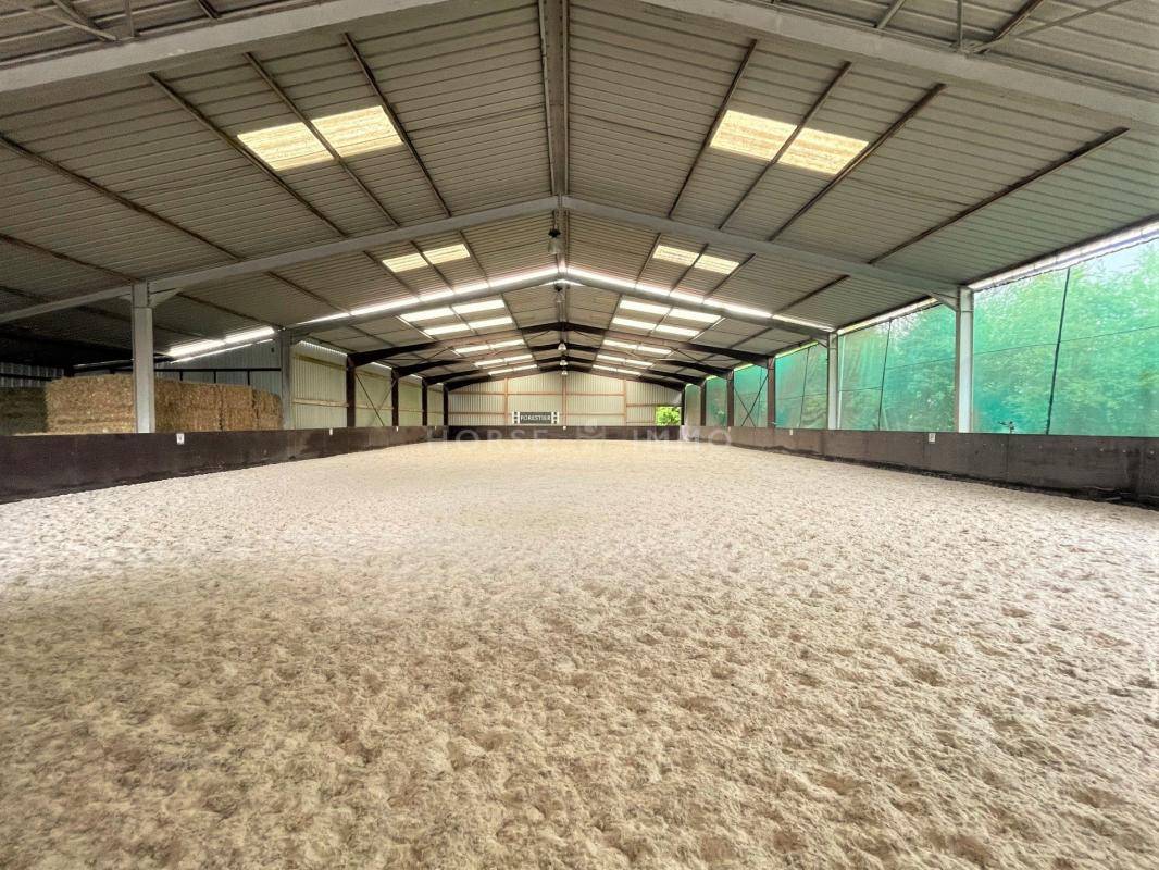 Centro di stagione cavallo In vendita Yonne