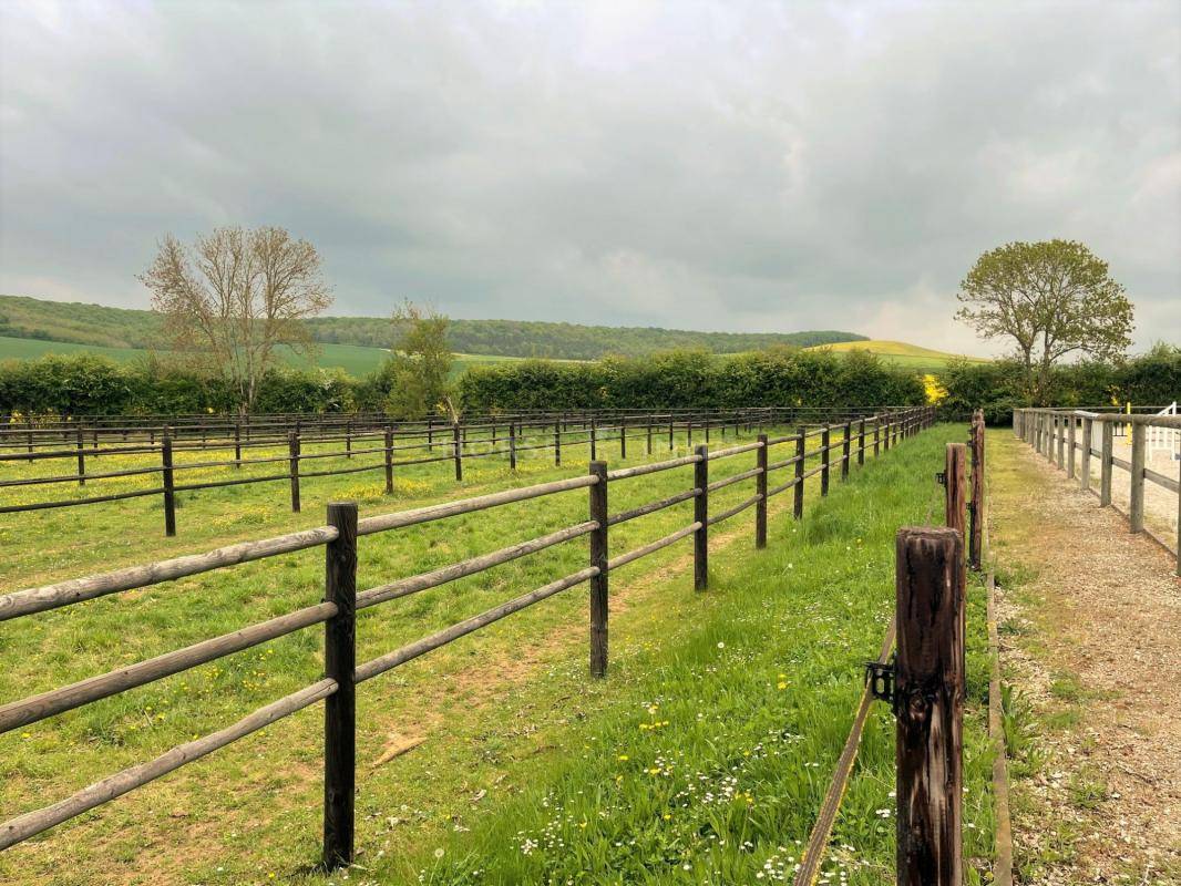 Centro di stagione cavallo In vendita Yonne