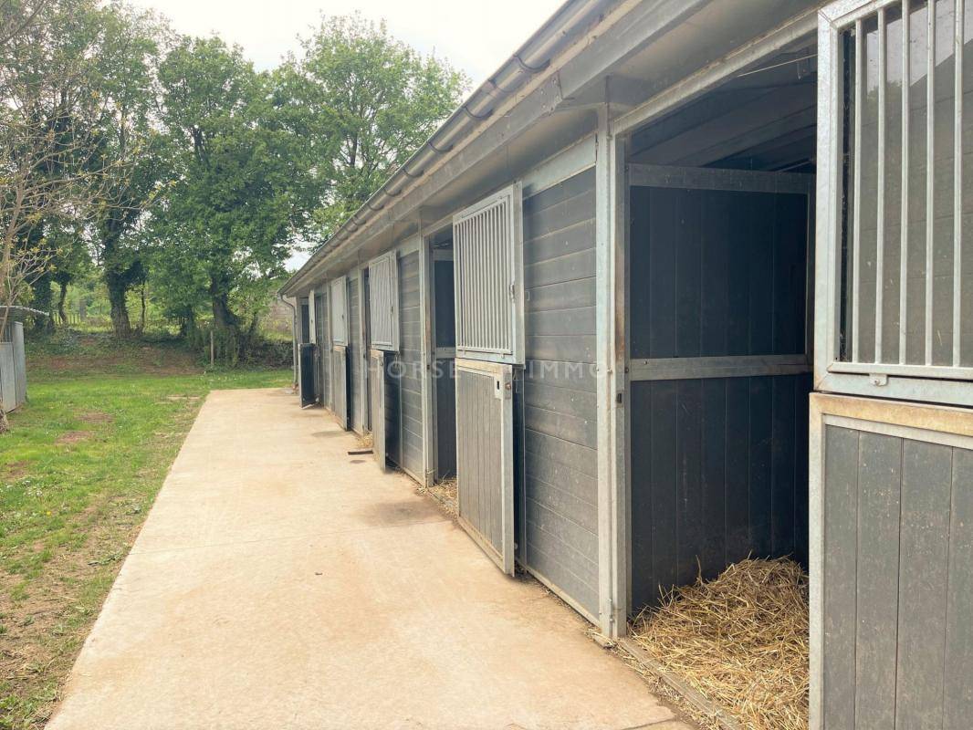 Centro di stagione cavallo In vendita Yonne