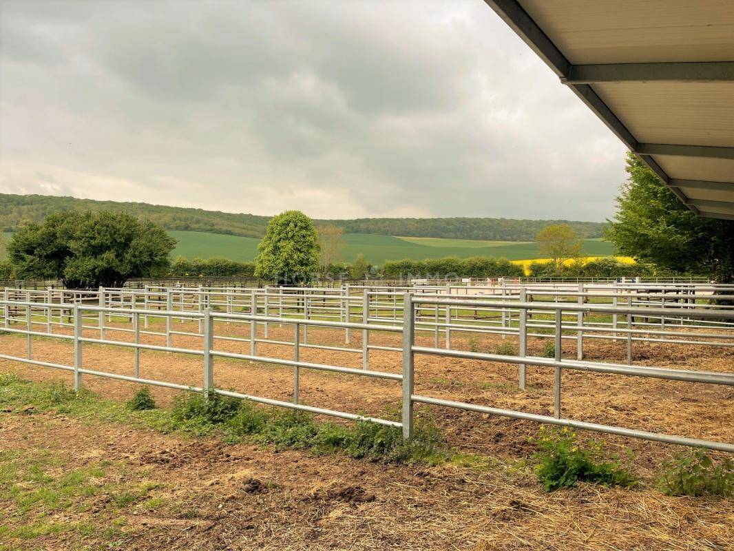 Centro di stagione cavallo In vendita Yonne