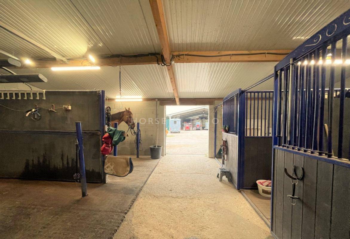 Centro di stagione cavallo In vendita Yonne